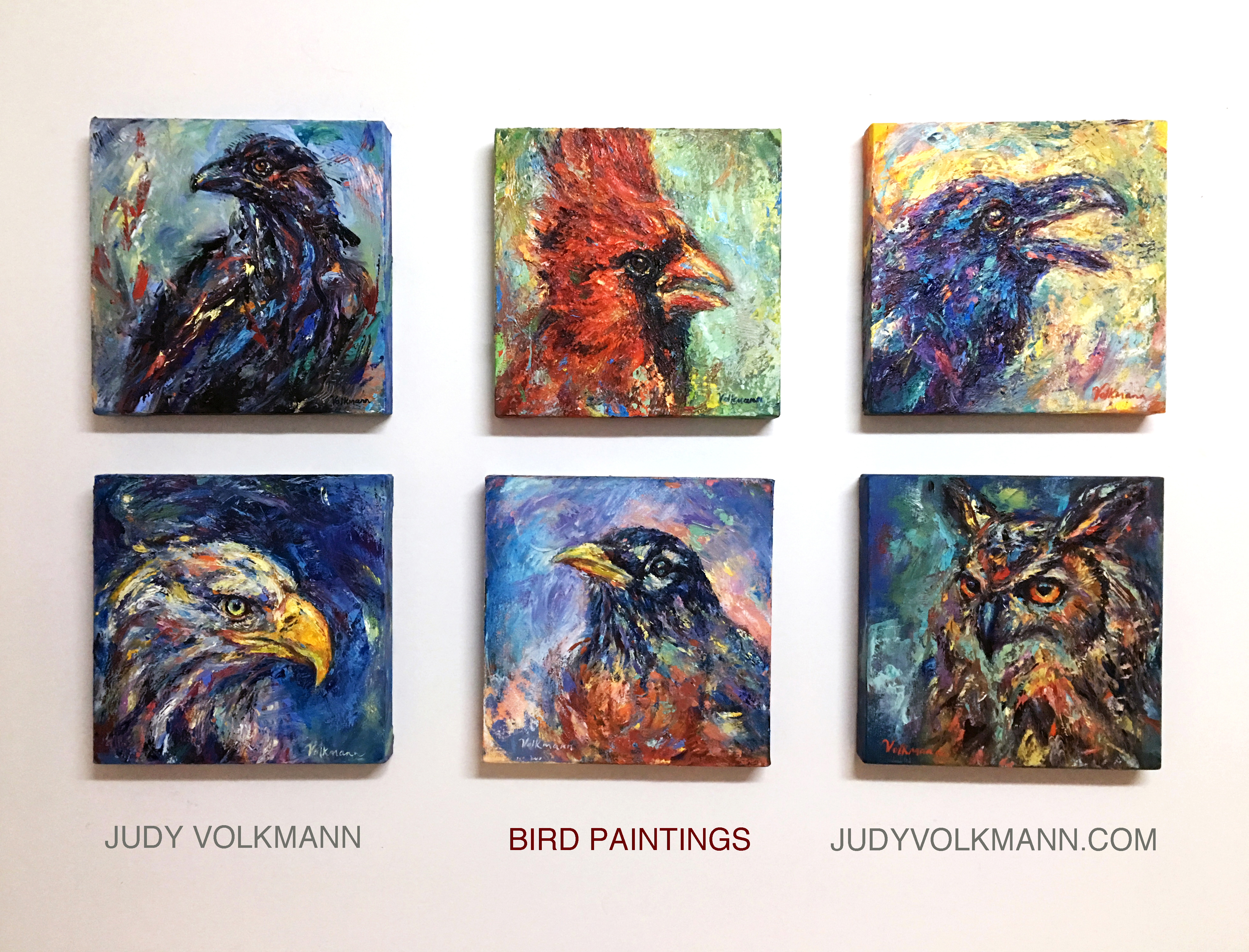 New! Bird paintings by Judy Volkmann