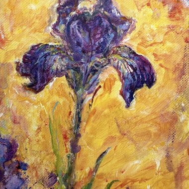 ©Judy Volkmann, Iris, 2025, acrylic on canvas board, 7 x 5 in, $300 Available