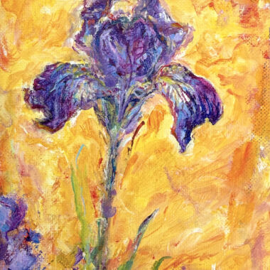 ©Judy Volkmann, Iris, 2025, acrylic on canvas board, 5 x 7 in, framed, $300 Available at True Grit Art Gallery in Middleboro, MA